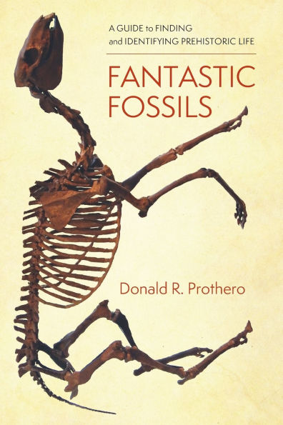 Fantastic Fossils: A Guide to Finding and Identifying Prehistoric Life