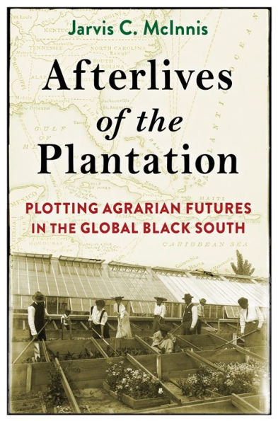 Afterlives of the Plantation: Plotting Agrarian Futures in the Global Black South