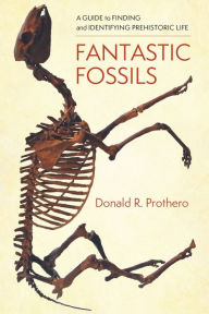 Title: Fantastic Fossils: A Guide to Finding and Identifying Prehistoric Life, Author: Donald R. Prothero