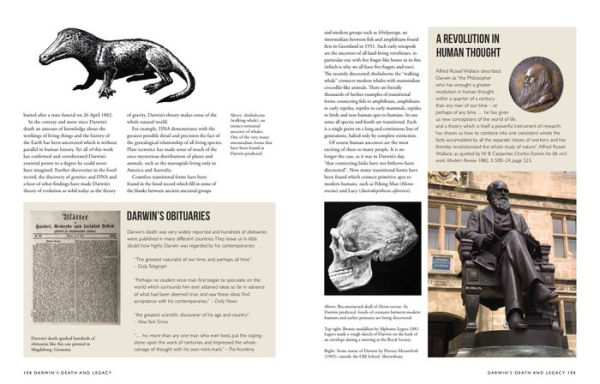Darwin: The Story of the Man and His Theories of Evolution