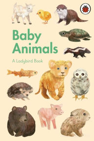 Title: A Ladybird Book: Baby Animals, Author: Ladybird