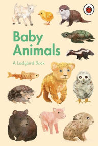 Title: A Ladybird Book: Baby Animals, Author: Stephanie Fizer Coleman