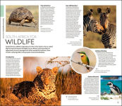 Alternative view 7 of DK South Africa