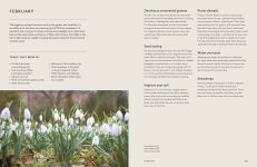 Alternative view 7 of How to Design a Garden: Create and Maintain Your Dream Garden