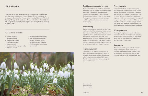 How to Design a Garden: Create and Maintain Your Dream Garden