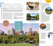 Alternative view 13 of DK Boston