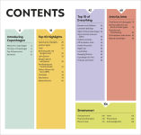 Alternative view 2 of DK Top 10 Copenhagen