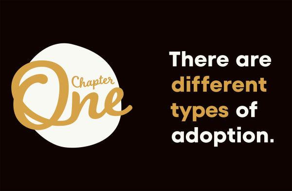 A Kids Book About Adoption