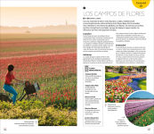 Alternative view 11 of Amsterdam Guia Visual (DK Amsterdam)