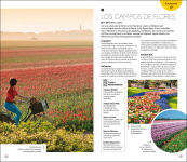 Alternative view 6 of Amsterdam Guia Visual (DK Amsterdam)