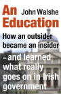 An Education: How an outsider became an insider - and learned what really goes on in Irish government