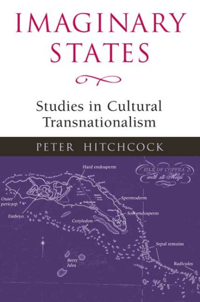 Imaginary States: STUDIES IN CULTURAL TRANSNATIONALISM