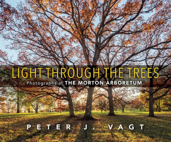 Light Through the Trees: Photographs at The Morton Arboretum