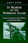 IN SEARCH OF WORKING CLASS: ESSAYS IN AMERICAN LABOR HISTORY AND POLITICAL CULTURE