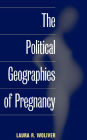 The Political Geographies of Pregnancy / Edition 1