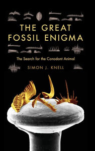 King of the Crocodylians: The Paleobiology of Deinosuchus (Life of the  Past): Schwimmer, David R.: 9780253340870: : Books