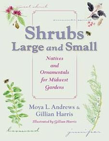 Shrubs Large and Small: Natives and Ornamentals for Midwest Gardens