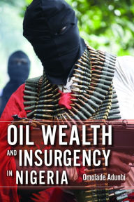 Title: Oil Wealth and Insurgency in Nigeria, Author: Omolade Adunbi