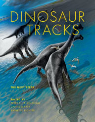 Dinosaur Tracks: The Next Steps