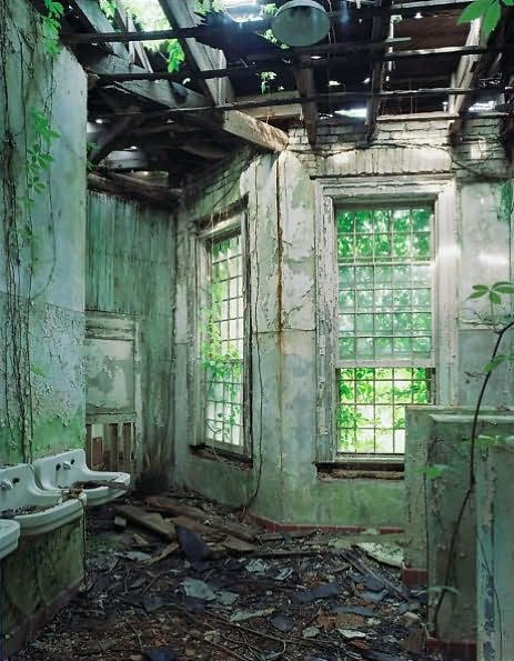 Asylum Inside The Closed World Of State Mental Hospitals By Christopher Payne 9780262013499