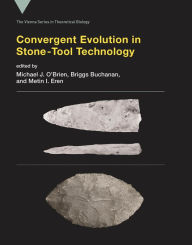 Download free pdf books for ipad Convergent Evolution in Stone-Tool Technology