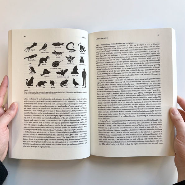 Natural Neuroscience: Toward a Systems Neuroscience of Behaviors