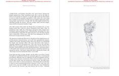 Alternative view 6 of Sexus Animalis: There Is Nothing Unnatural in Nature