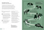 Alternative view 3 of Rewilding: The Radical New Science of Ecological Recovery: The Illustrated Edition