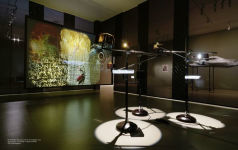 Alternative view 2 of Climates. Habitats. Environments.