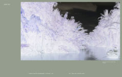 Alternative view 5 of Climates. Habitats. Environments.