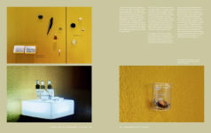 Alternative view 7 of Climates. Habitats. Environments.