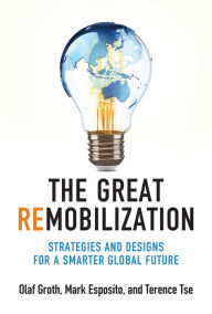Download free epub textbooks The Great Remobilization: Strategies and Designs for a Smarter Global Future English version