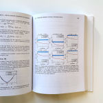 Alternative view 4 of Learning Theory from First Principles
