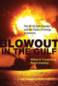 Title: Blowout in the Gulf: The BP Oil Spill Disaster and the Future of Energy in America, Author: William R. Freudenburg