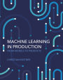 Machine Learning in Production: From Models to Products