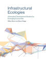 Infrastructural Ecologies: Alternative Development Models for Emerging Economies