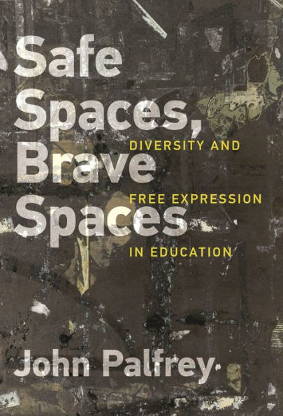 Safe Spaces, Brave Spaces: Diversity and Free Expression Education