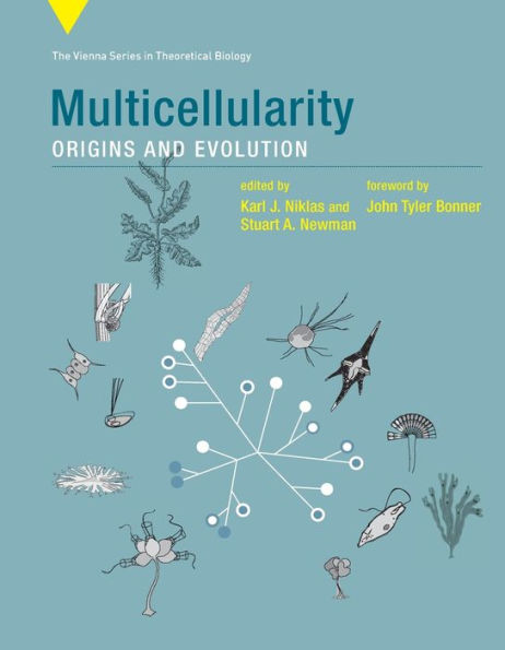 Multicellularity: Origins and Evolution