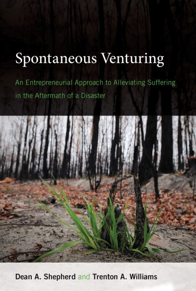 Spontaneous Venturing: An Entrepreneurial Approach to Alleviating Suffering the Aftermath of a Disaster