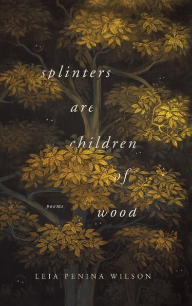 Splinters Are Children of Wood