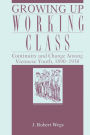 Growing Up Working Class: Continuity and Change Among Viennese Youth, 1890-1938