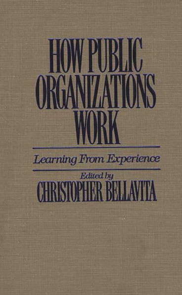 How Public Organizations Work: Learning from Experience