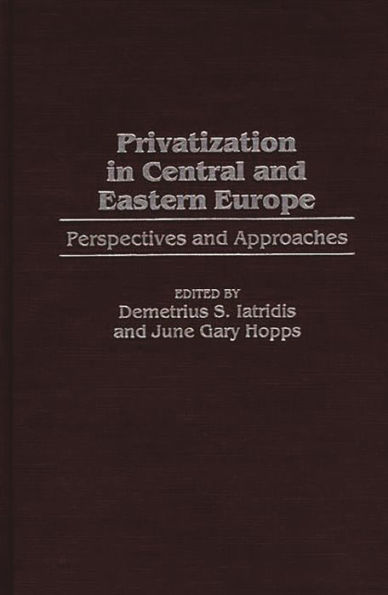 Privatization in Central and Eastern Europe: Perspectives and Approaches / Edition 1
