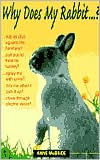 Title: Why Does My Rabbit... ?, Author: Anne McBride