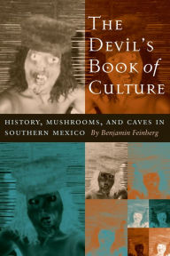 Title: The Devil's Book of Culture: History, Mushrooms, and Caves in Southern Mexico, Author: Benjamin Feinberg