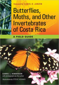 Title: Butterflies, Moths, and Other Invertebrates of Costa Rica: A Field Guide, Author: Carrol L. Henderson