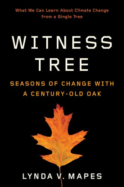 Witness Tree: Seasons of Change with a Century-Old Oak