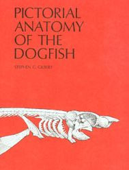 Title: Pictorial Anatomy of the Dogfish / Edition 1, Author: Stephen G. Gilbert