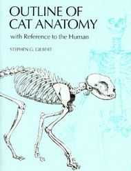 Title: Outline of Cat Anatomy with Reference to the Human / Edition 1, Author: Stephen G. Gilbert