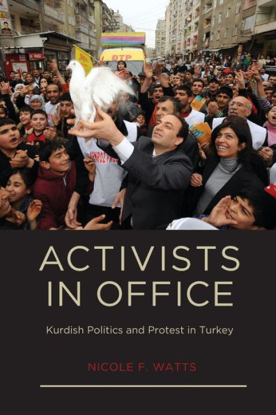 Activists Office: Kurdish Politics and Protest Turkey